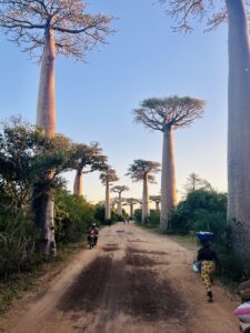Road trip in Madagascar