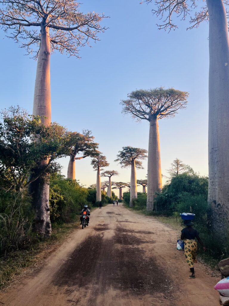Road trip in Madagascar