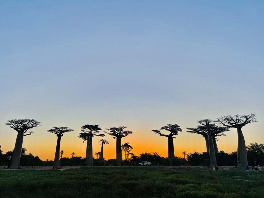 Madagascar nature in the evening